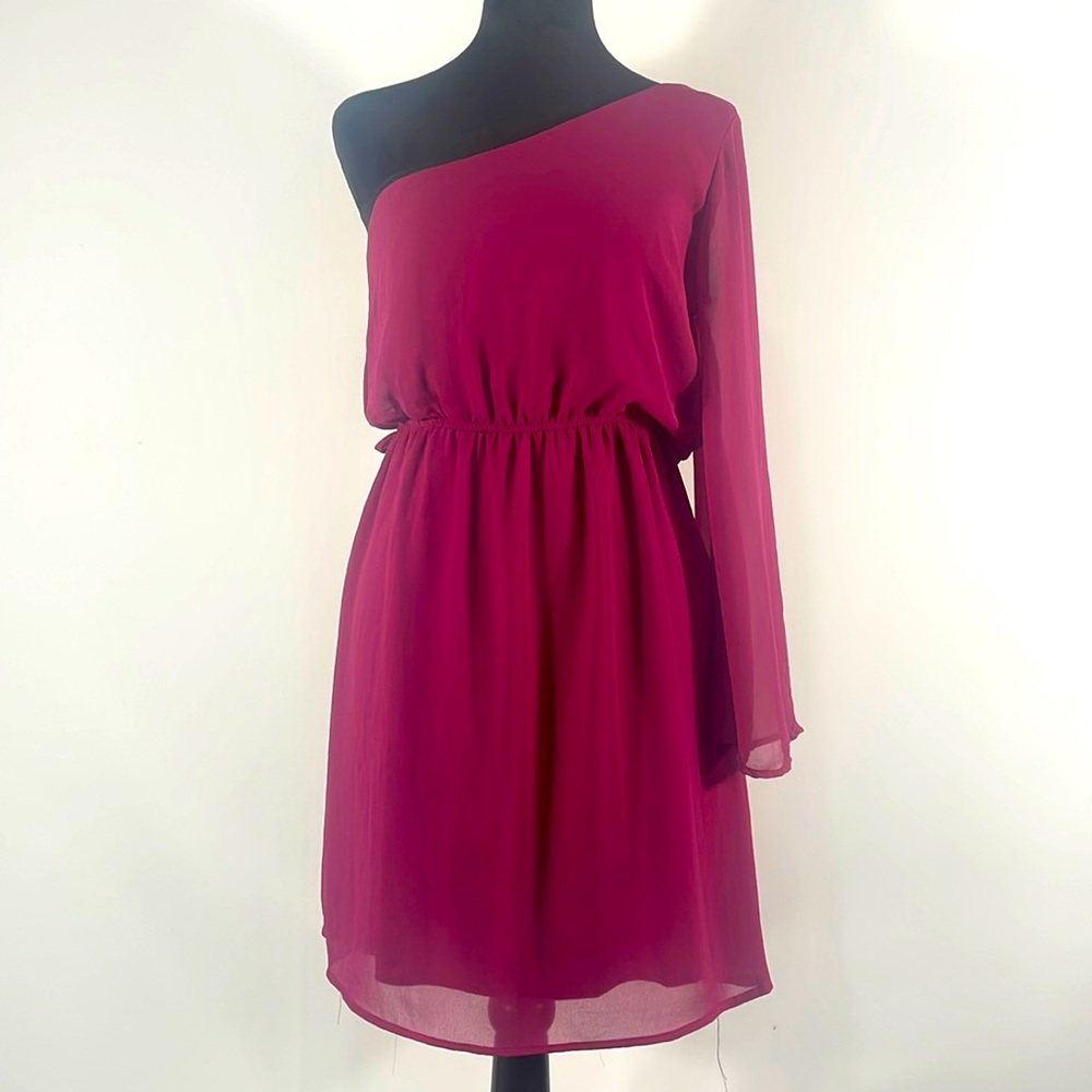 Francesca’s Small Burgundy, Crimson, One Shoulder Mini dress